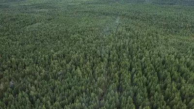 Пожароопасный сезон в Свердловской области начнётся 15 апреля, на севере — 20 апреля