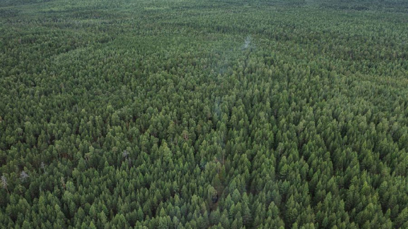 Пожароопасный сезон в Свердловской области начнётся 15 апреля, на севере — 20 апреля