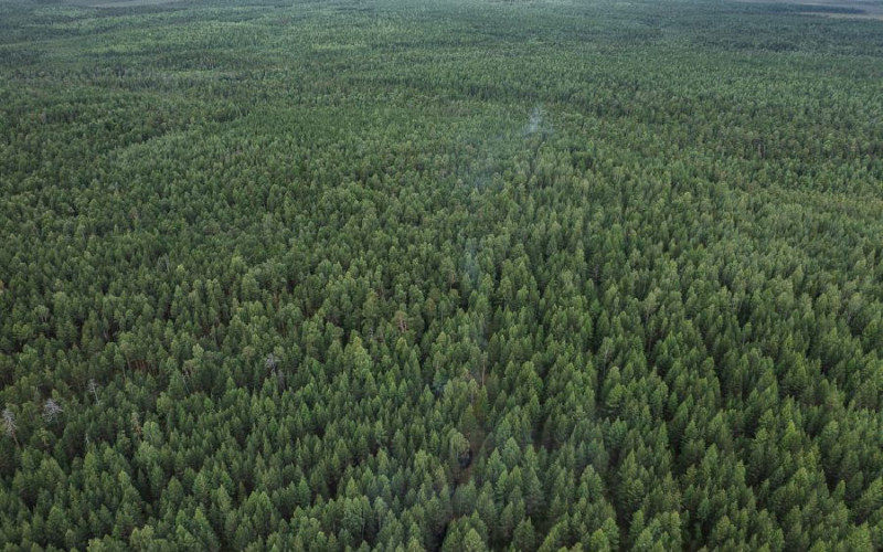 Пожароопасный сезон в Свердловской области начнётся 15 апреля, на севере — 20 апреля