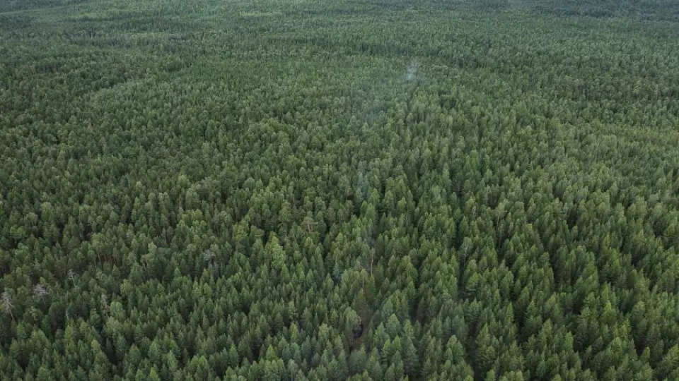 Пожароопасный сезон в Свердловской области начнётся 15 апреля, на севере — 20 апреля
