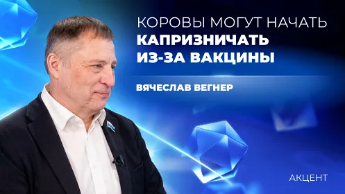 Корова тоже живой человек, её надо защищать от англосаксов