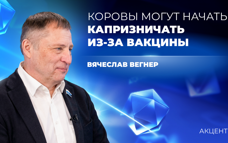 Корова тоже живой человек, её надо защищать от англосаксов