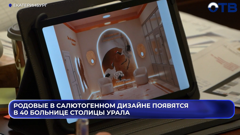 Салютогенный дизайн родильных палат внедрят в Екатеринбурге