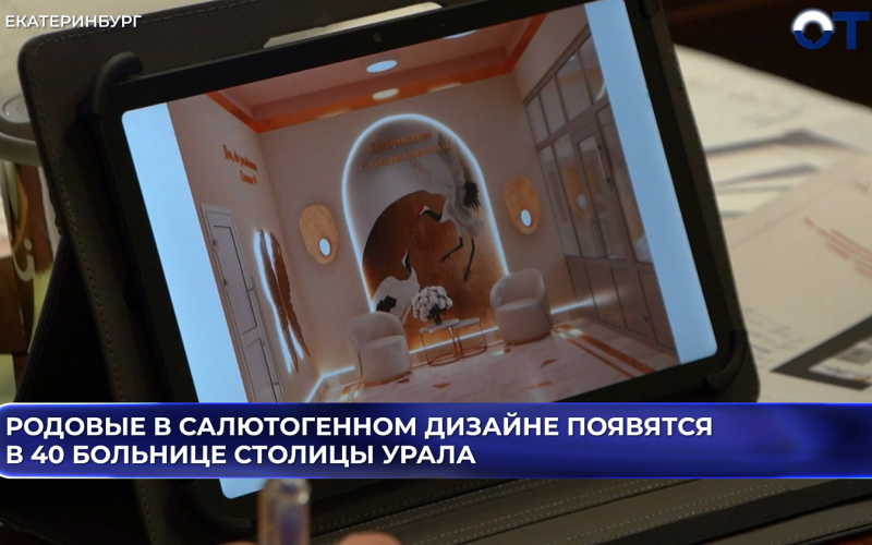 Салютогенный дизайн родильных палат внедрят в Екатеринбурге