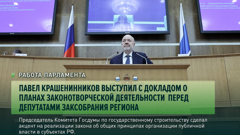 Людмила Бабушкина оценила взаимодействие Заксобрания региона с Госдумой