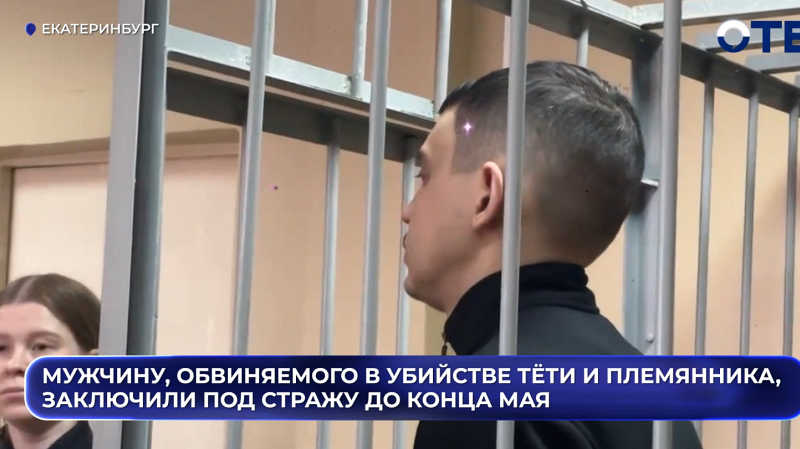 Мужчину, обвиняемого в убийстве тёти и племянника, заключили под стражу до конца мая