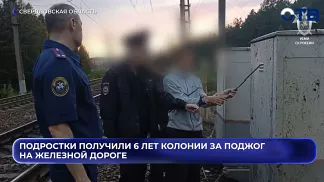 Подростки получили 6 лет колонии за поджог на железной дороге