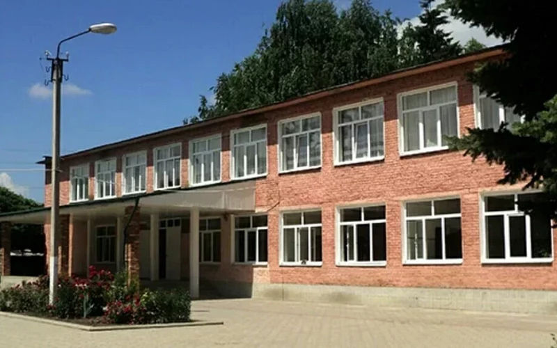 Подросток выстрелил в висок однокласснице из пневмата в школе Зайчиково