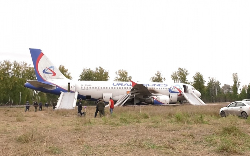 Дело пилота, посадившего самолет на пшеничном поле, вернули на дорасследование