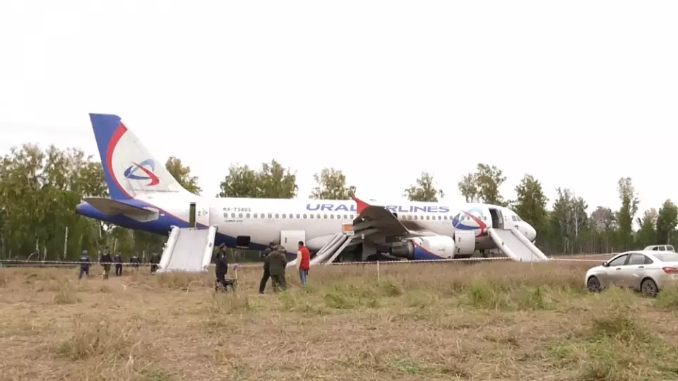 Дело пилота, посадившего самолет на пшеничном поле, вернули на дорасследование