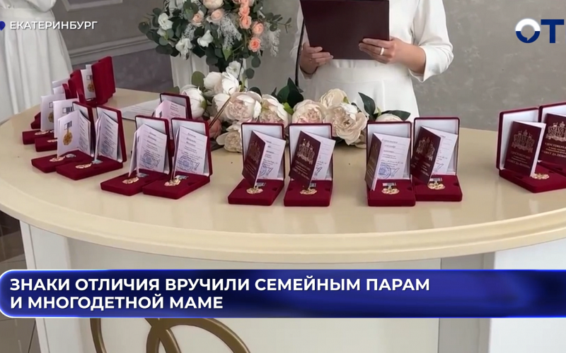 Знаки отличия вручили семейным парам и многодетной маме