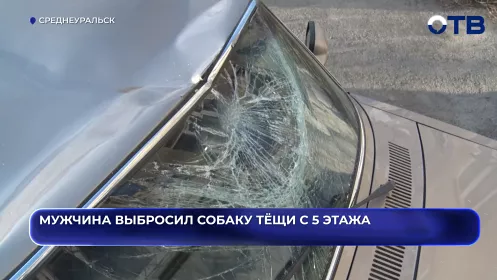 Мужчина выбросил собаку тёщи с 5 этажа