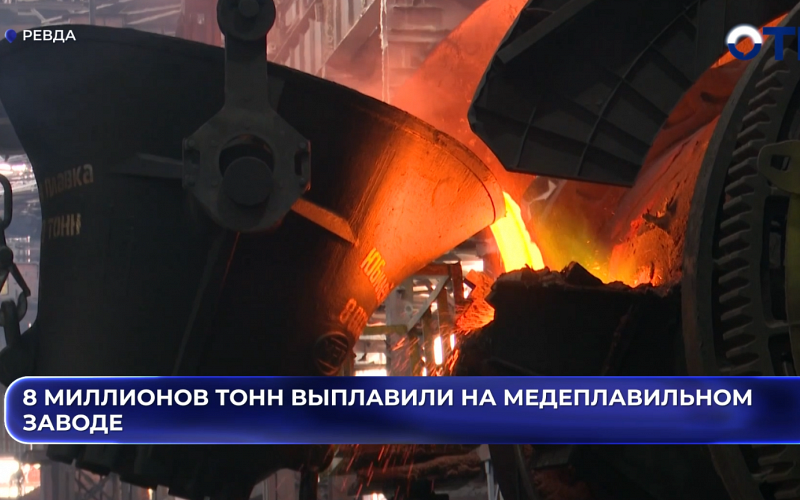 В Екатеринбурге ветеринарная служба проверила свалку на биологическую опасность