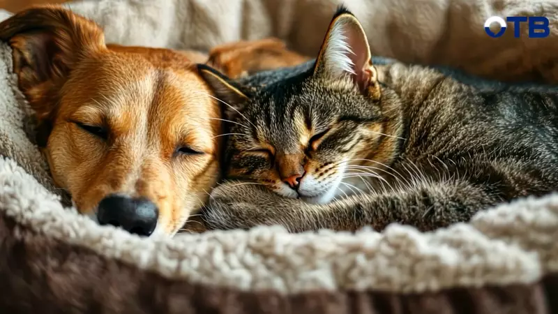 Ветеринарный врач Ольга Петрова: Весной обязательно добавлять витамины и проверять пастбища от борщевика