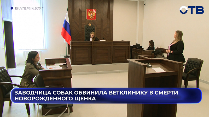 Заводчица собак обвинила ветклинику в смерти новорожденного щенка