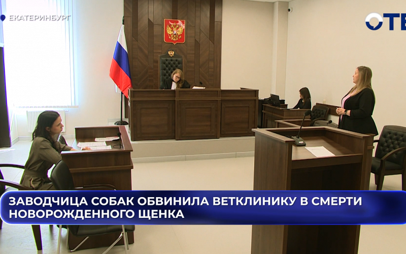 Заводчица собак обвинила ветклинику в смерти новорожденного щенка