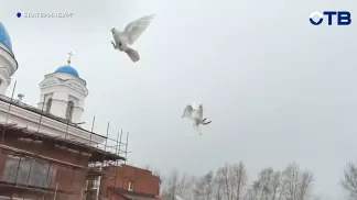 Митрополит Евгений выпустил голубей в праздник Благовещения