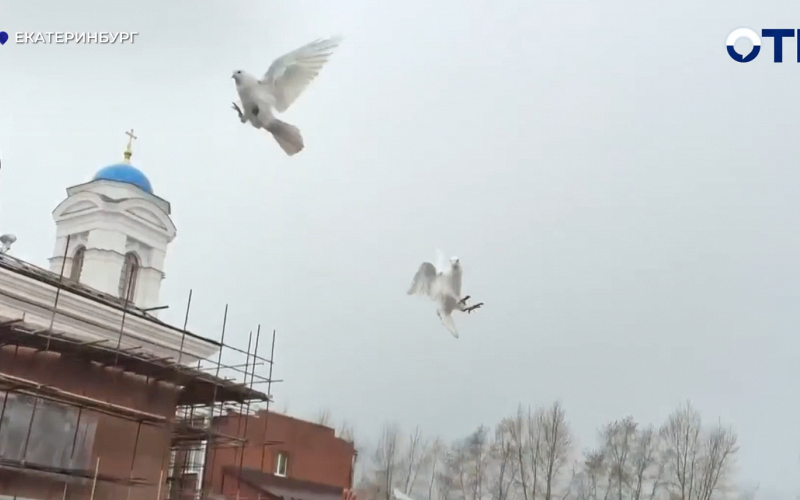 Митрополит Евгений выпустил голубей в праздник Благовещения