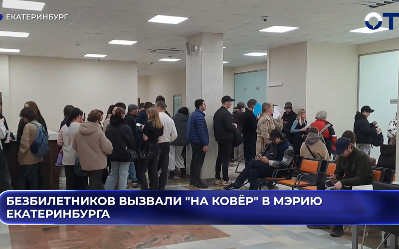 Безбилетников вызвали "на ковёр" в мэрию Екатеринбурга