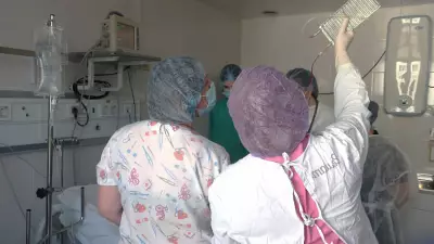 Рекордные 62 трансплантации костного мозга выполнили в СОКБ №1 в 2025 году