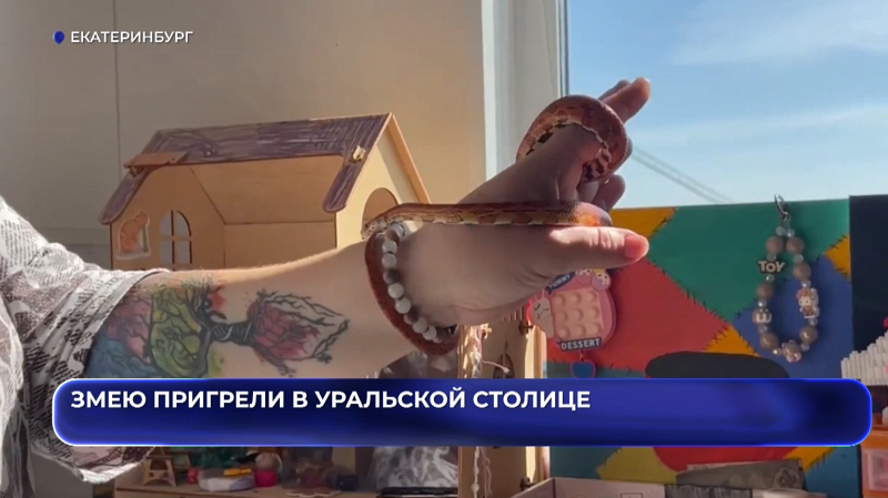 Змею пригрели в уральской столице