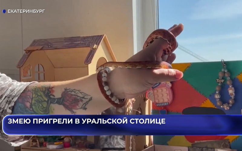 Змею пригрели в уральской столице