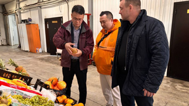 Манго и драгонфрукт из Китая начнут привозить в магазины Свердловской области