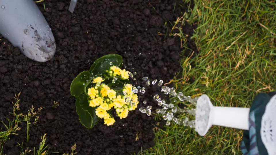 За клумбы из покрышек могут оштрафовать россиян