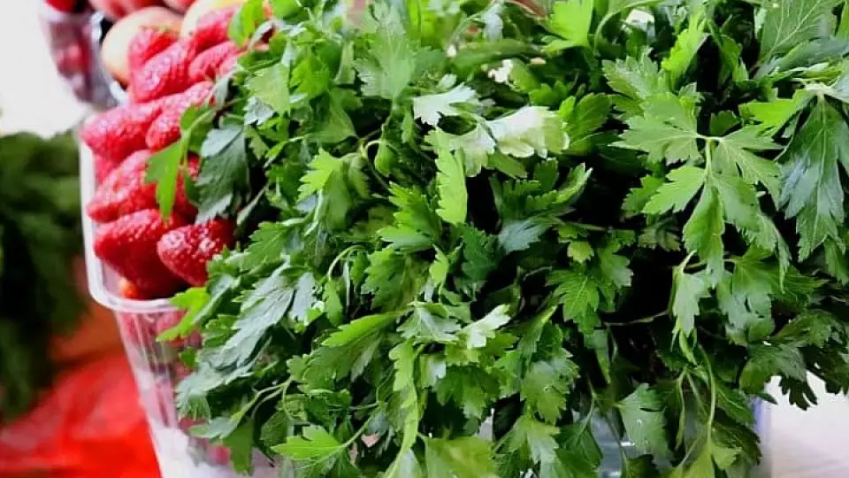 Весной на подоконнике можно вырастить зелень для еды