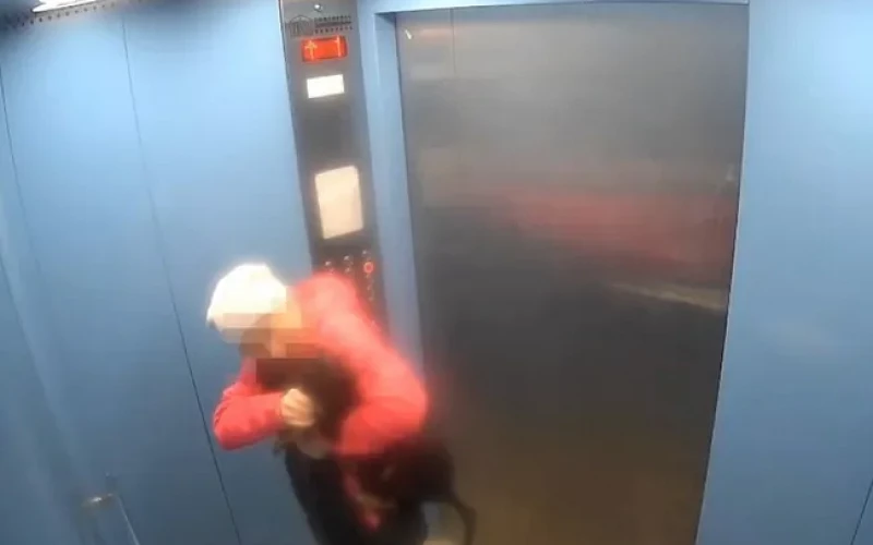 Тюменка избила собаку в лифте: камеры засняли живодёрку