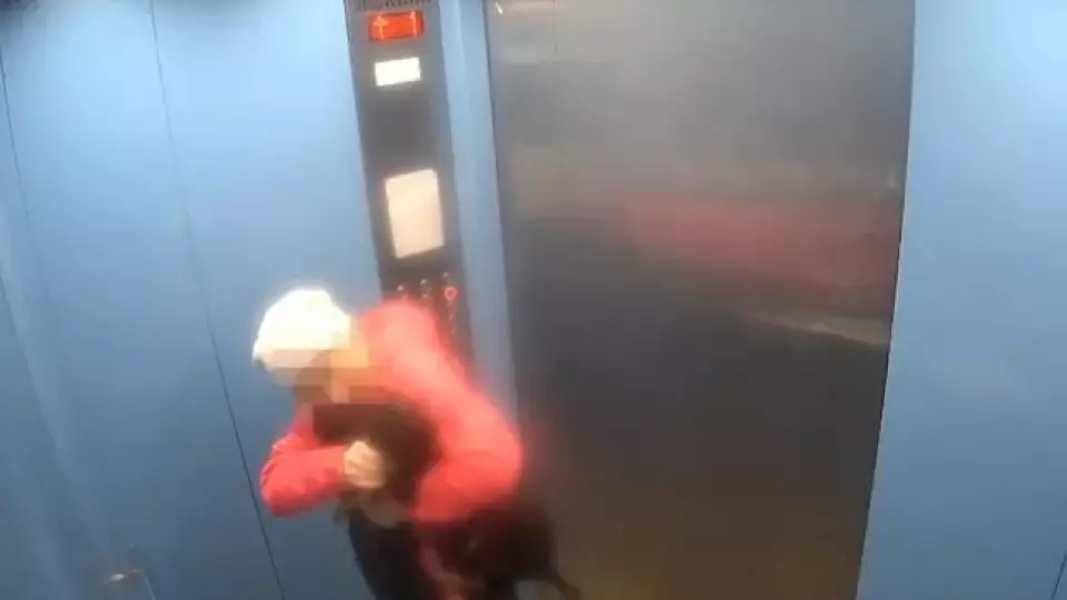 Тюменка избила собаку в лифте: камеры засняли живодёрку