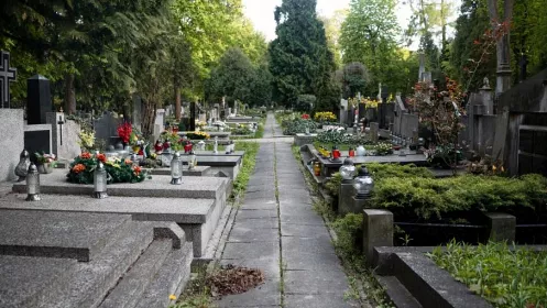 Дети могут забирать еду с кладбища — мнение священника