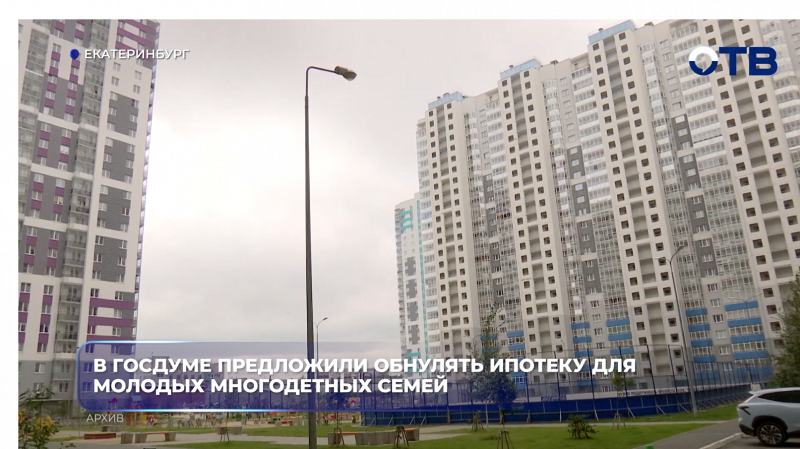 В Госдуме предложили обнулять ипотеку для молодых многодетных семей