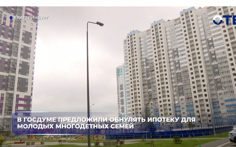 В Госдуме предложили обнулять ипотеку для молодых многодетных семей