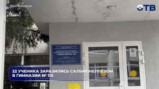 22 ученика заразились сальмонеллёзом в гимназии № 116