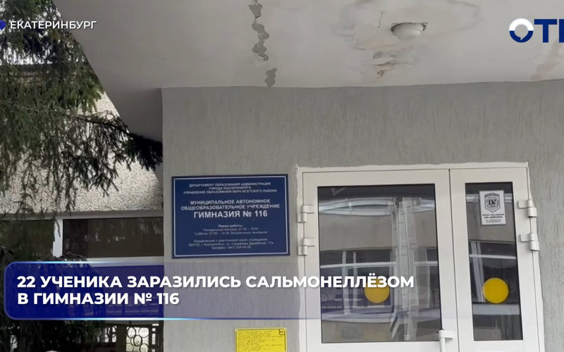 22 ученика заразились сальмонеллёзом в гимназии № 116