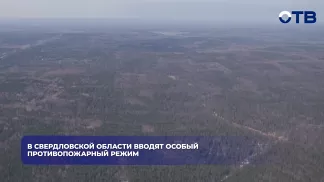 В Свердловской области вводят особый противопожарный режим
