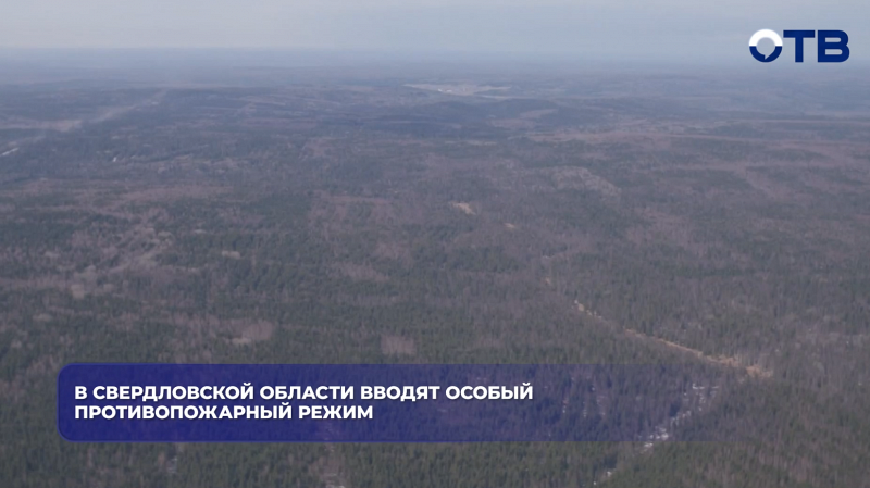 В Свердловской области вводят особый противопожарный режим