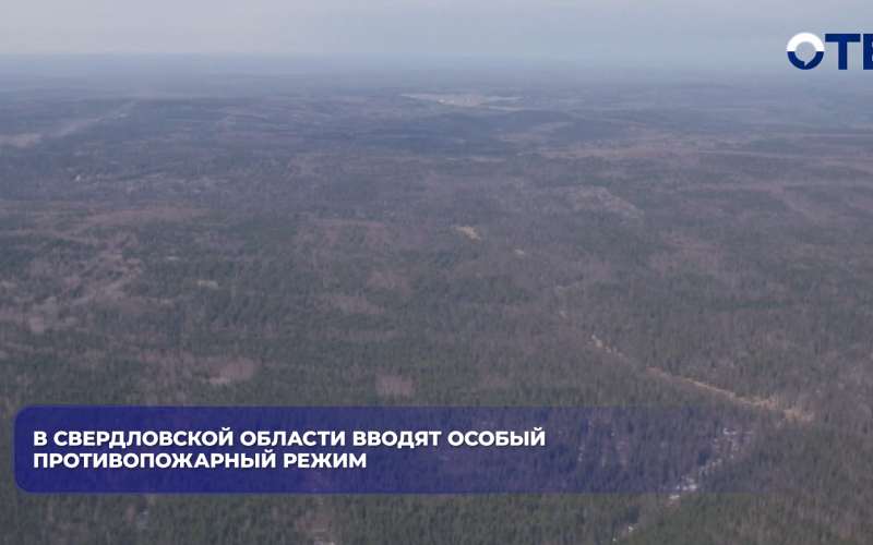 В Свердловской области вводят особый противопожарный режим