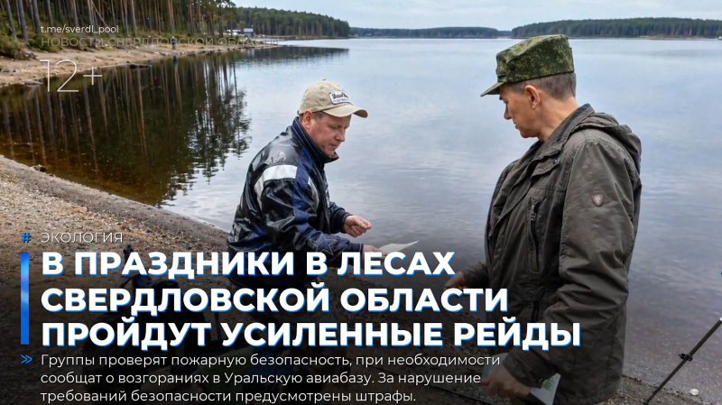 В праздники в лесах Свердловской области пройдут усиленные рейды