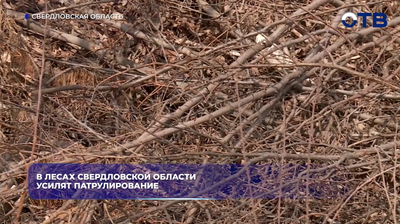 В лесах Свердловской области усилят патрулирование