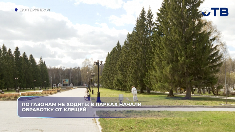 По газонам не ходить: в парках начали обработку от клещей