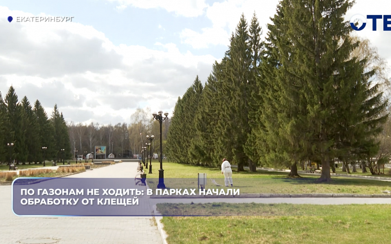 По газонам не ходить: в парках начали обработку от клещей