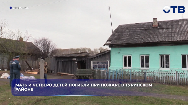 Мать и четверо детей погибли при пожаре в Туринском районе