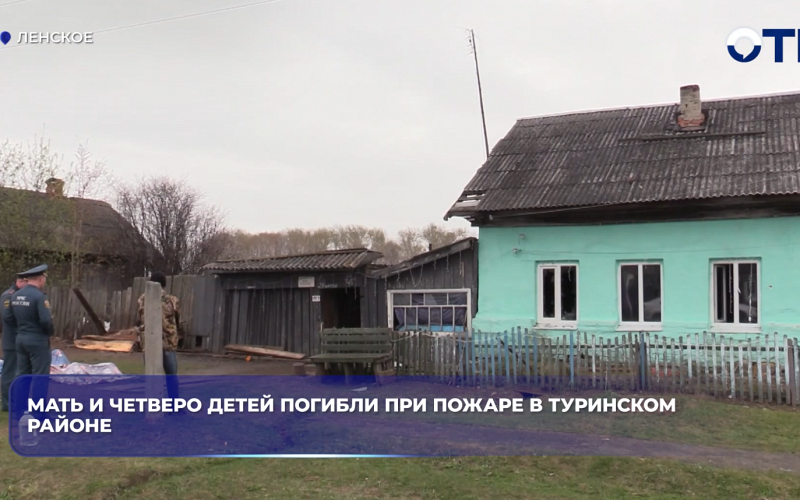 Мать и четверо детей погибли при пожаре в Туринском районе