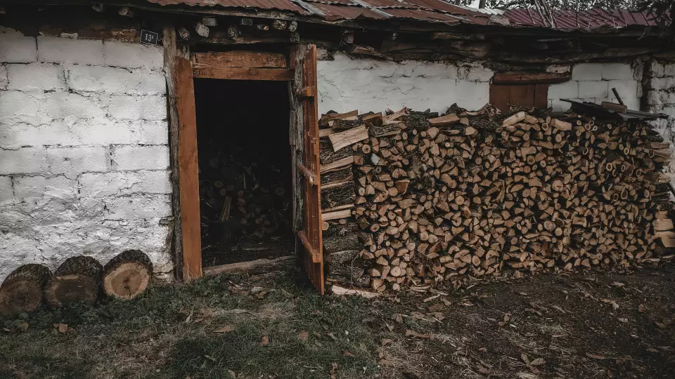Как заготовить дрова на зиму и не сесть в тюрьму