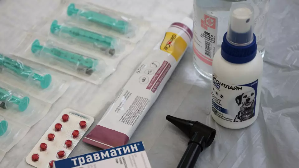 В России снят с продажи ряд ветеринарных лекарственных препаратов