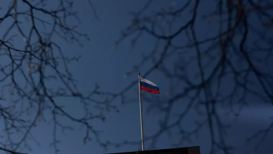 В Екатеринбурге подростки избили 12-летнюю девочку в шапке цветов российского флага