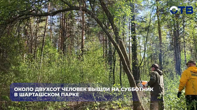 Около двухсот человек вышли на субботник в Шарташском парке