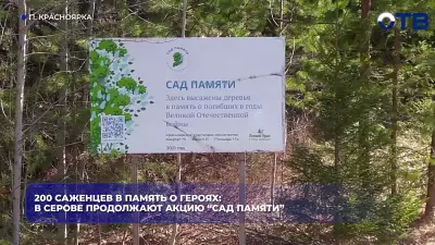 200 саженцев в память о героях: в Серове продолжают акцию “Сад памяти”